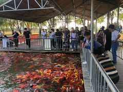 -泰安地下龙宫景区