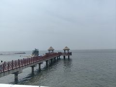 -养马岛旅游度假区