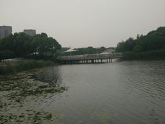 -新江湾城公园