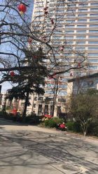 -河南中医药大学第一附属医院-医疗整形