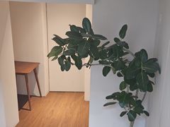 -自如ZSPACE四合院艺术餐厅