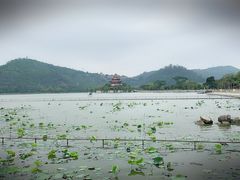 -顺峰山公园