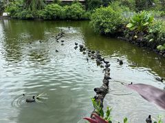 -海南热带野生动植物园