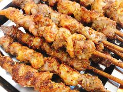 -民族烤羊·烤羊肉串·烤羊排(南城店)