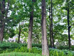 -黔明古寺