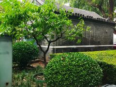 -后海公园