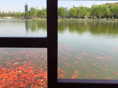 -西海子公园