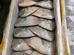 -海峡水产品交易中心(海鲜交易区)