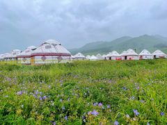 -新疆那拉提国家旅游度假区