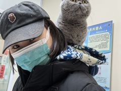 -全心全意连锁动物医院·微创中心·内科急重症·心脏专科(丰管路店)