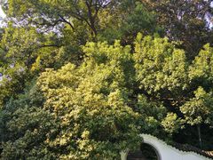 -杭州少年儿童公园