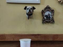 -多克多蒸气茶DOKDO(鼓楼绿地店)