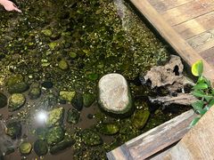 -邈墨茶馆(大兜路1号店)