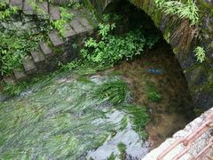 进口-大慈岩风景区