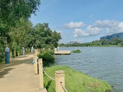 -华侨城湿地公园