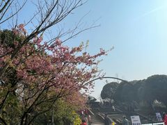 -南山植物园