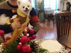 -PETKIT小佩宠物(古北店)