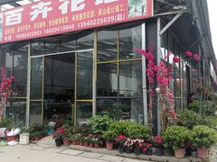 -金科花卉市场