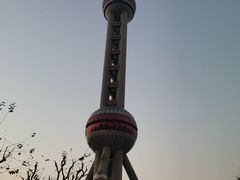 -东方明珠·空中旋转餐厅