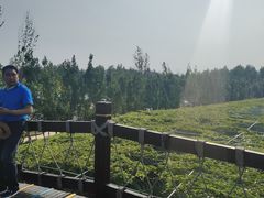 -渔岛海洋度假区