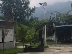 -午后庭院