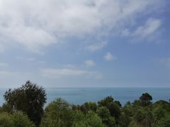 -广东惠东海龟国家级自然保护区