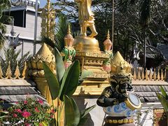 -西双版纳傣族园
