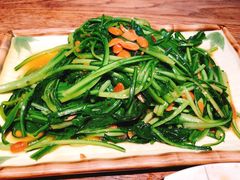 新鲜的空运野菜-缘生态云南菜·野生菌庭院餐厅(华侨城店)