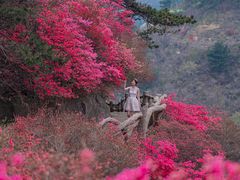 -木兰云雾山