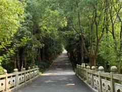 -同里国家湿地公园