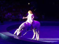 -珠海横琴长隆《卡卡虎奇遇记》