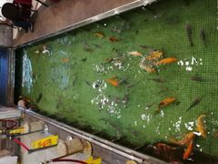 -金河半岛园林酒家(金融城店)