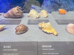 -中国（海南）南海博物馆