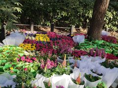 -共青国家森林公园-售票处