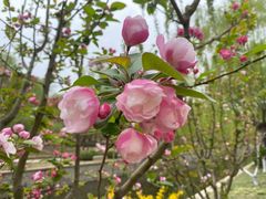 -元大都城垣遗址公园