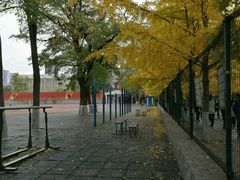 -辽宁大学(崇山校区)
