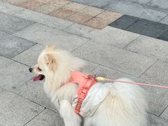 -天鹅湖体育公园