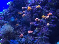 -成都浩海立方海洋公园