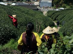 -龙井壹号·茶缘山景宴(龙井村店)