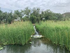 -白水寺森林公园