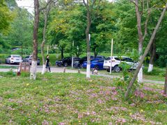 -白鹭湾湿地公园