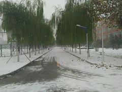 -比亚森自助烤肉料理(裕华店)