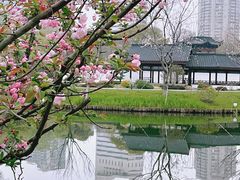 -和平公园