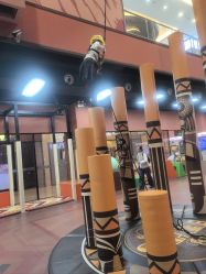 -卡通尼·Safari非洲探索乐园·生日会(金桥国际商业广场店)