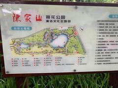 -陈家山荷花公园