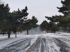 -北陵公园