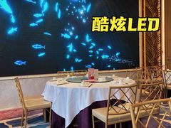 -御彩酒家(东风东路店)