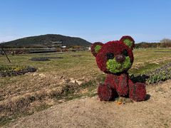 -苏州太湖西山岛开心农场