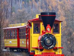 -莫尔道嘎国家森林公园