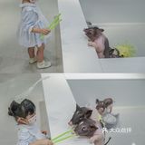 遇见萌宠，邂逅快乐